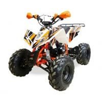 Квадроцикл бензиновый MOTAX ATV T-Rex